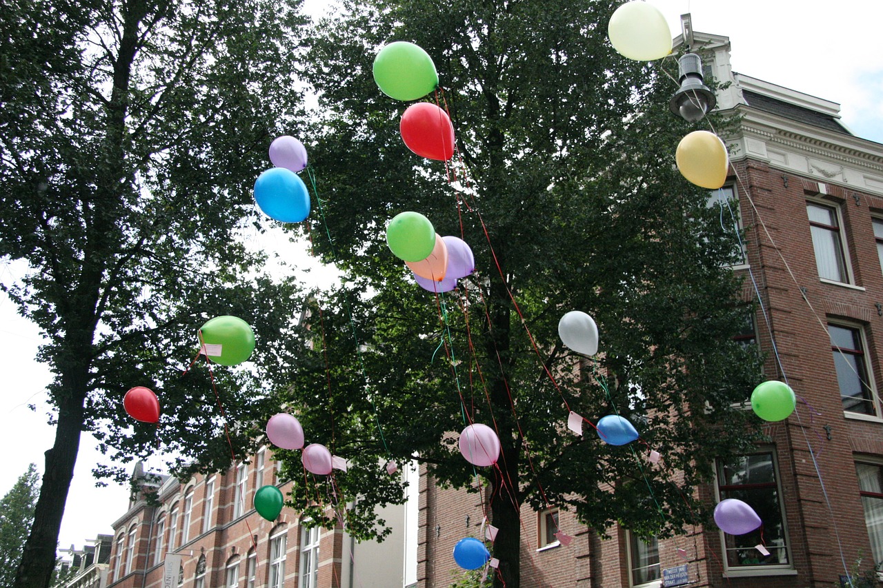 party balloon balloons free photo