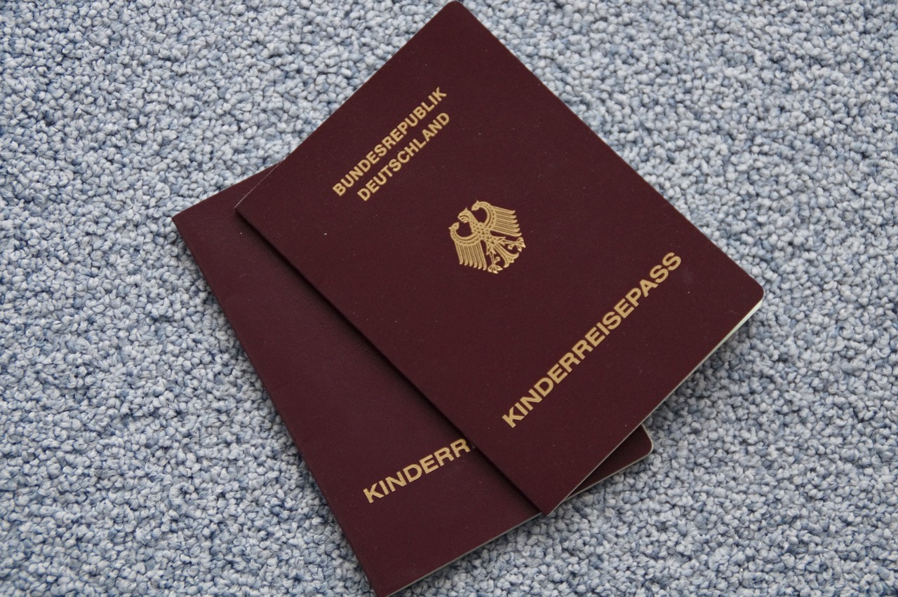 pass passports travel free photo