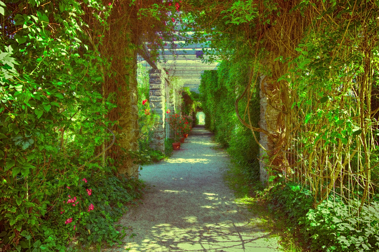 passage  overgrown  romantic free photo