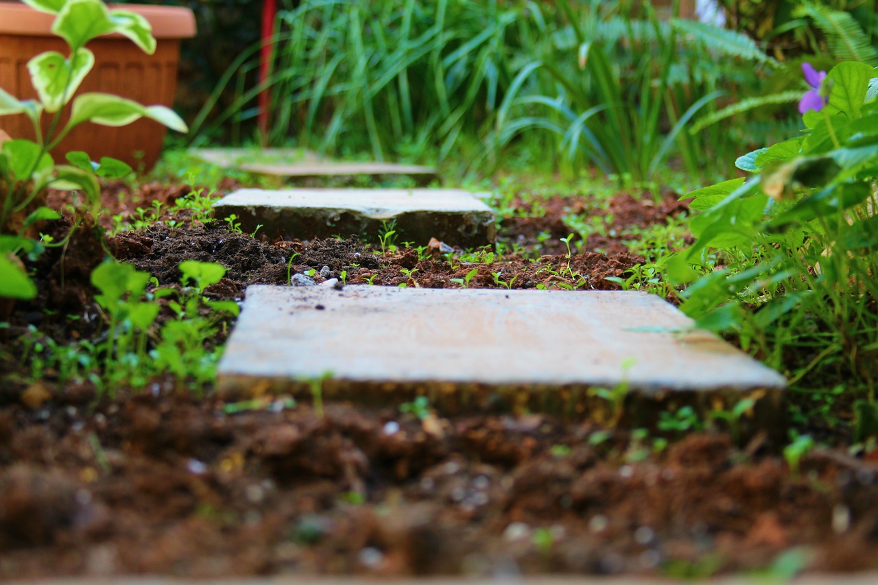 passage  garden  path free photo