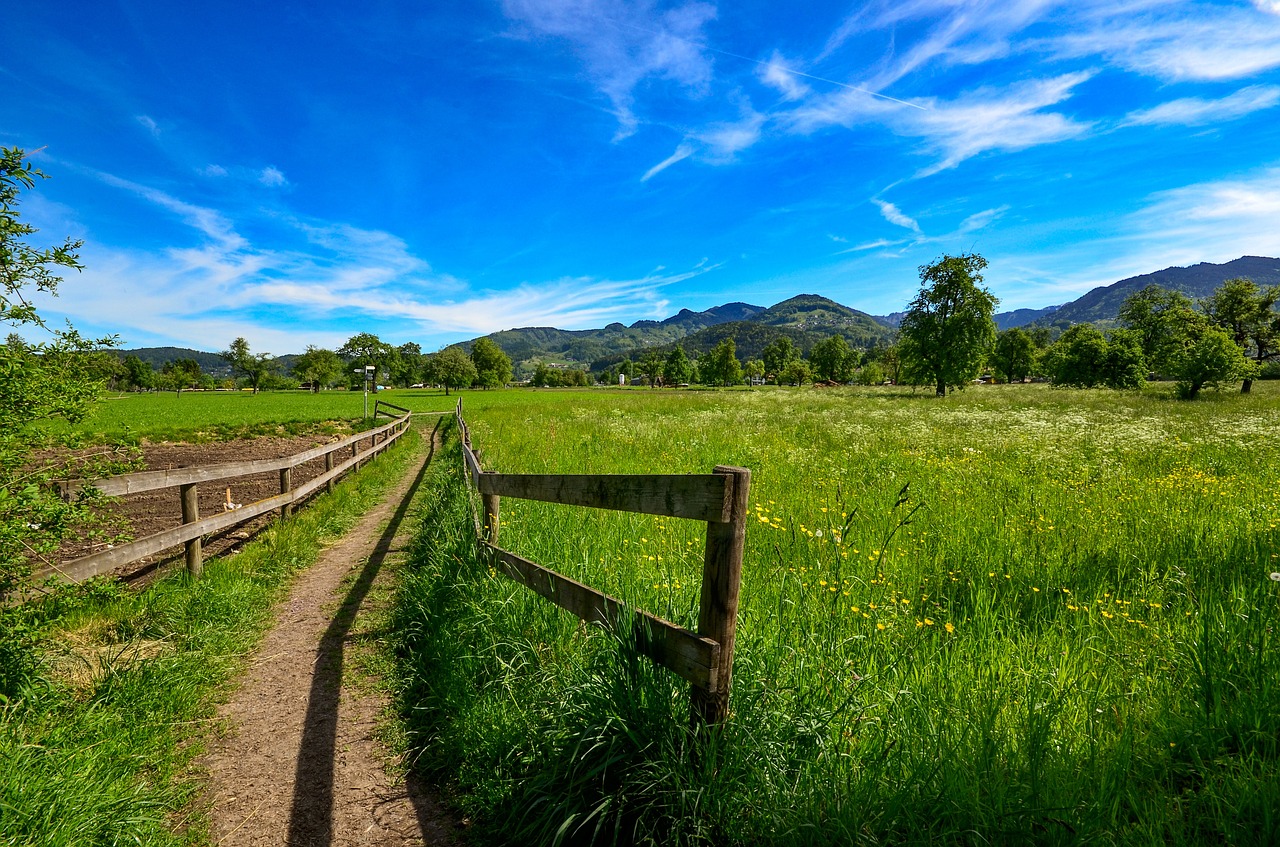 passage  meadow  landscape free photo