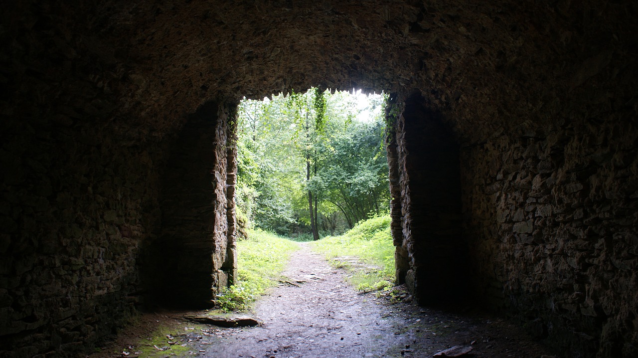 passage wall forest free photo