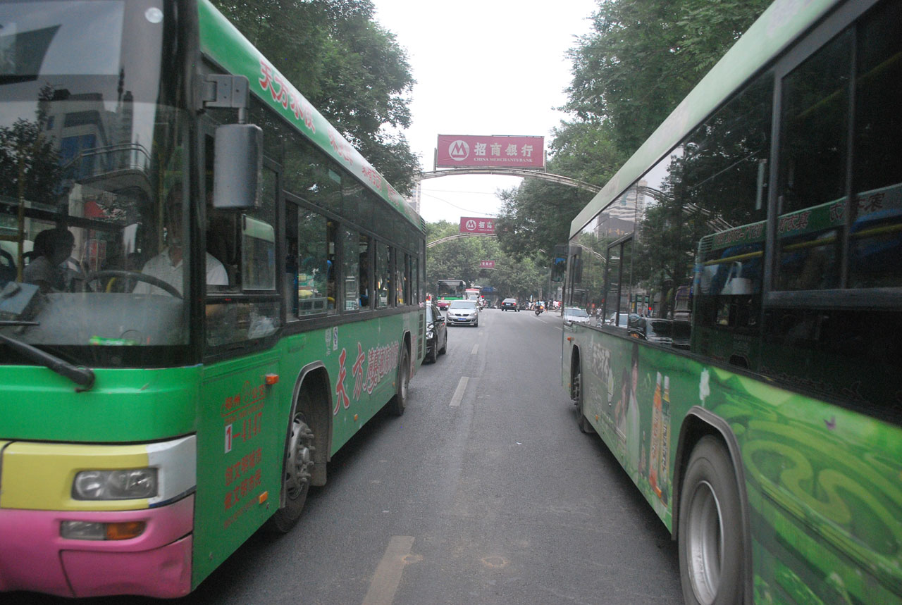 bus buses traffic free photo