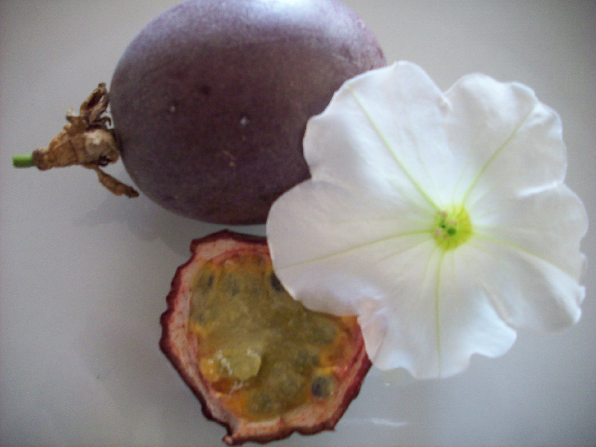 passion fruit white flower food fruit free photo