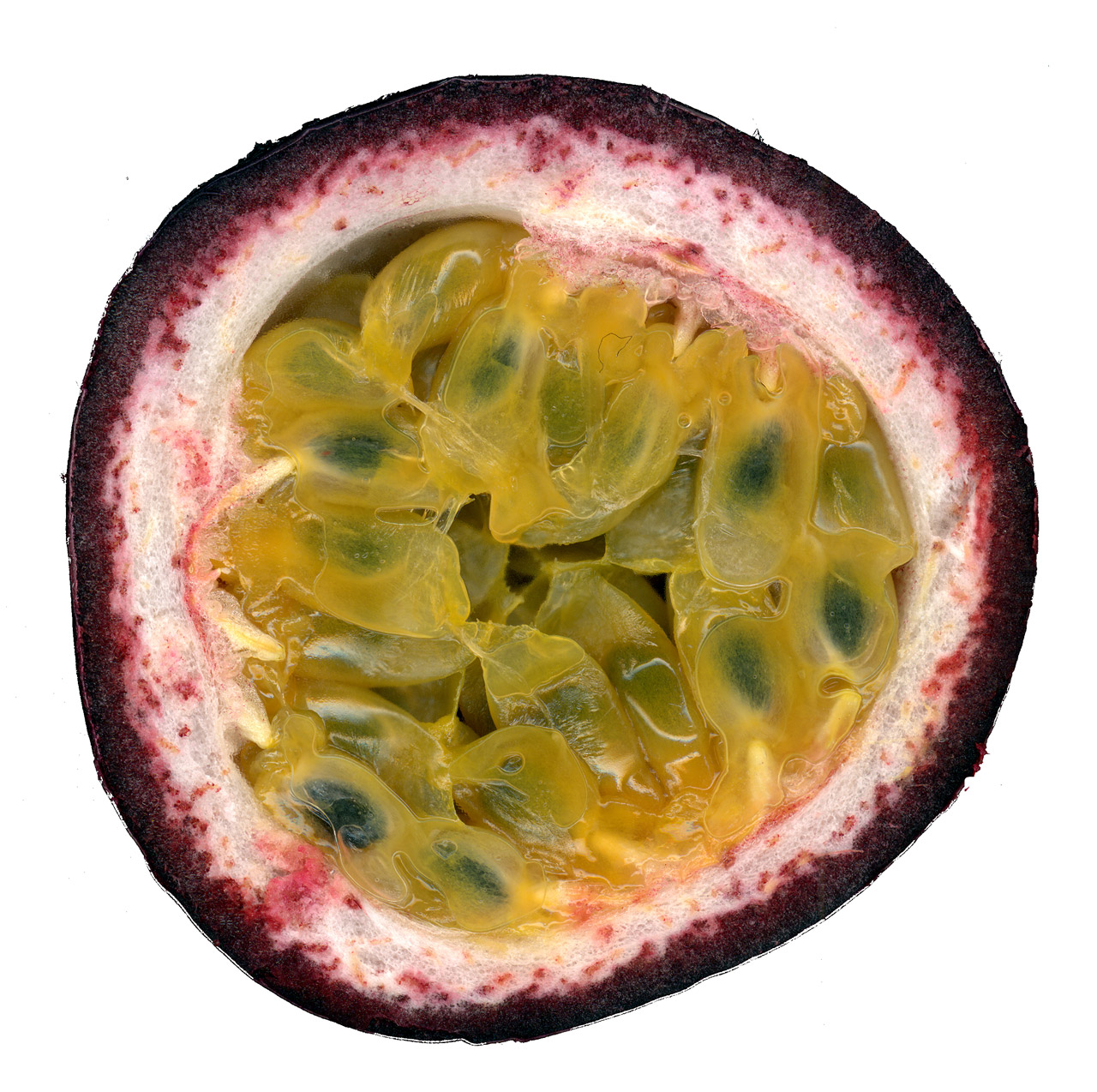 exotic passion fruit free photo