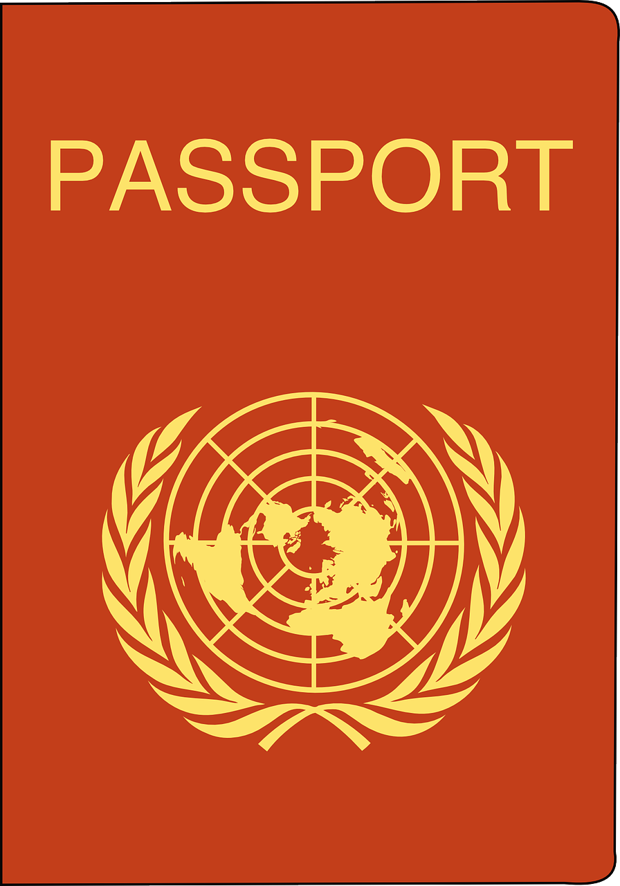 passport identity visa free photo
