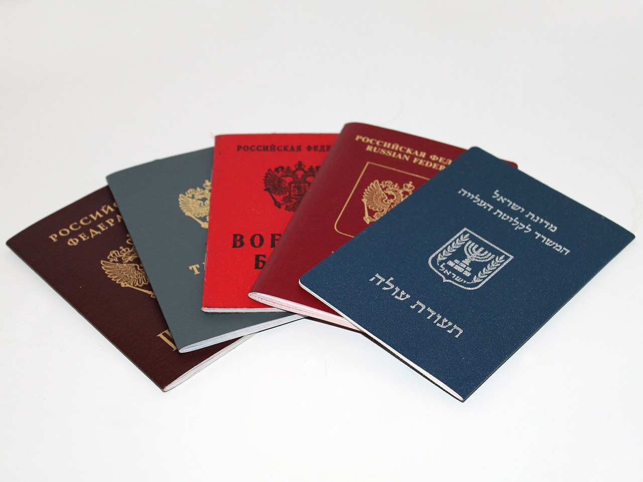 passport military id employment history free photo