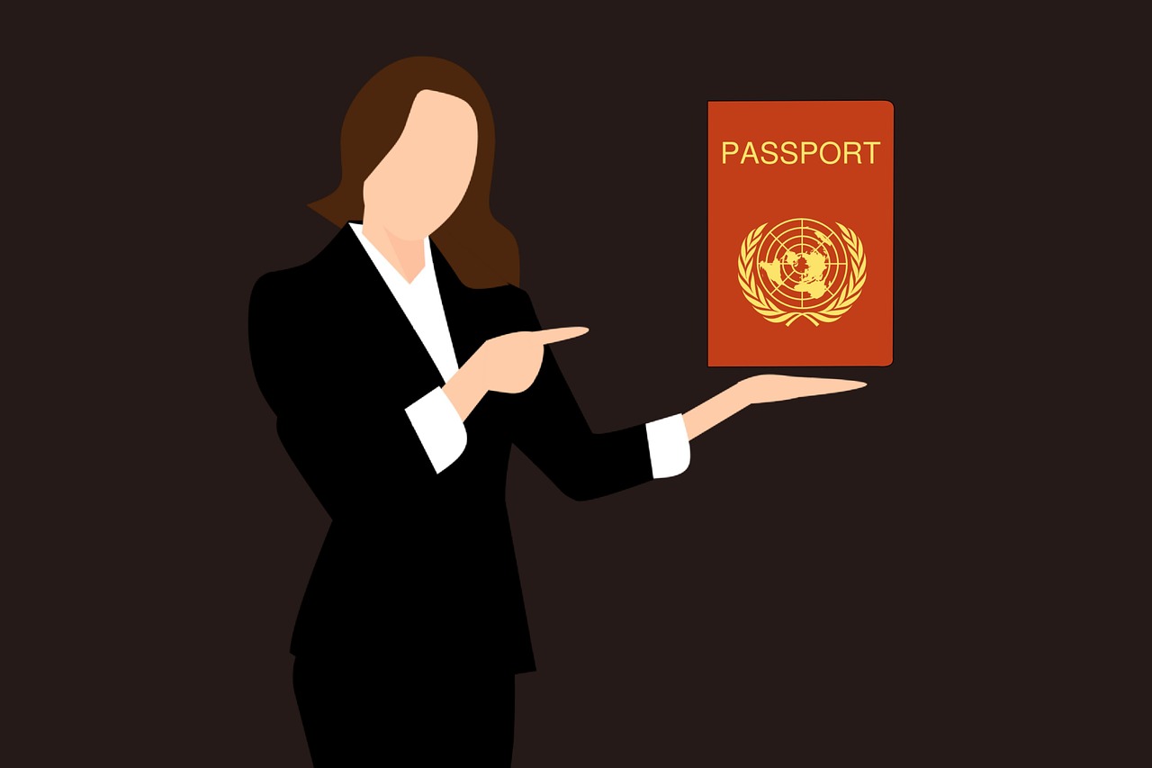 passport stamp  travel  passport cover free photo