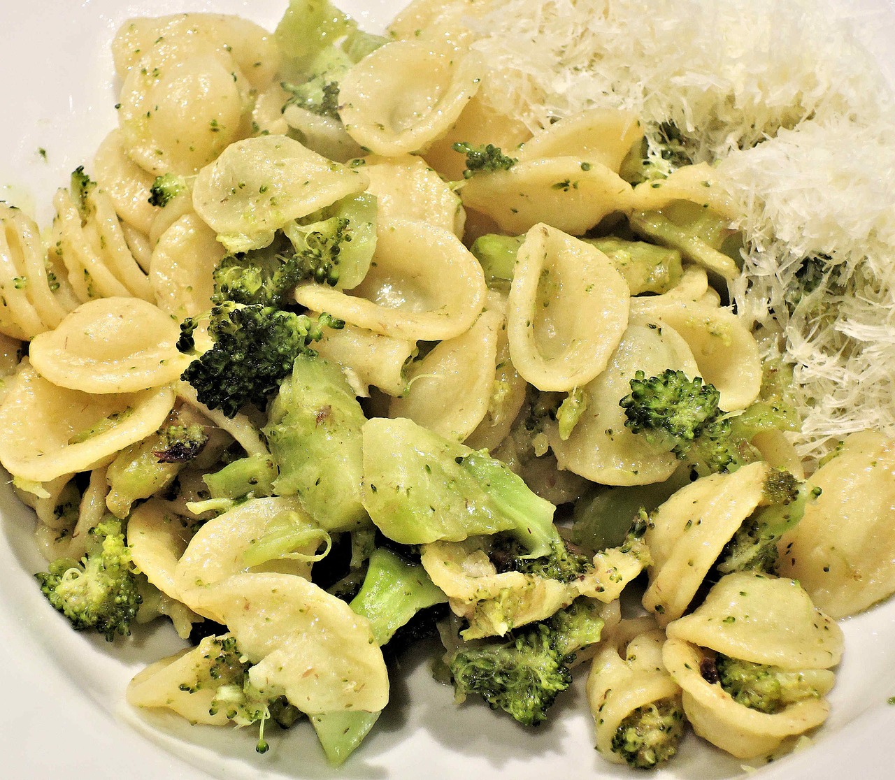 pasta orecchiette broccoli free photo