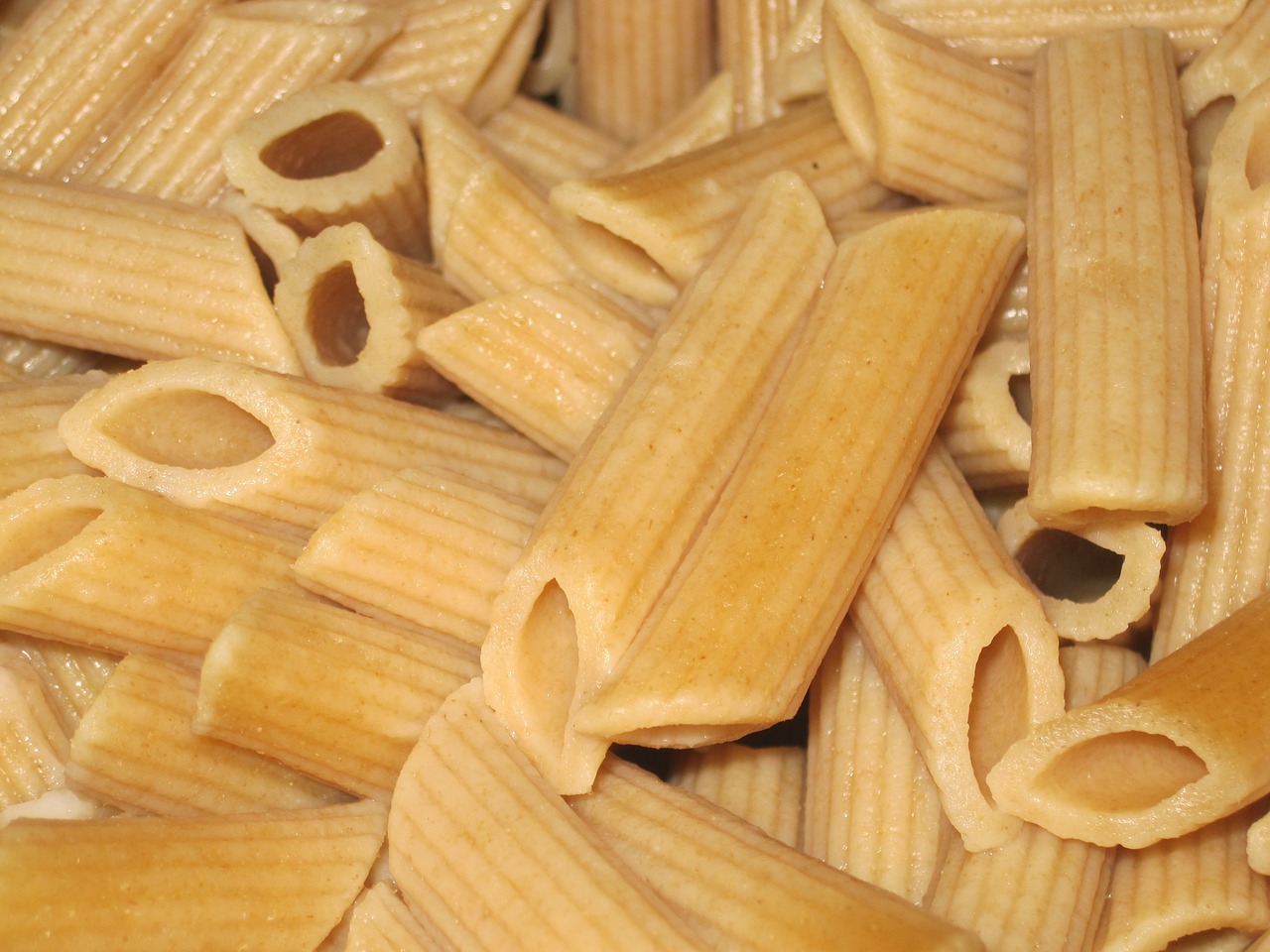 pasta noodles whole wheat free photo