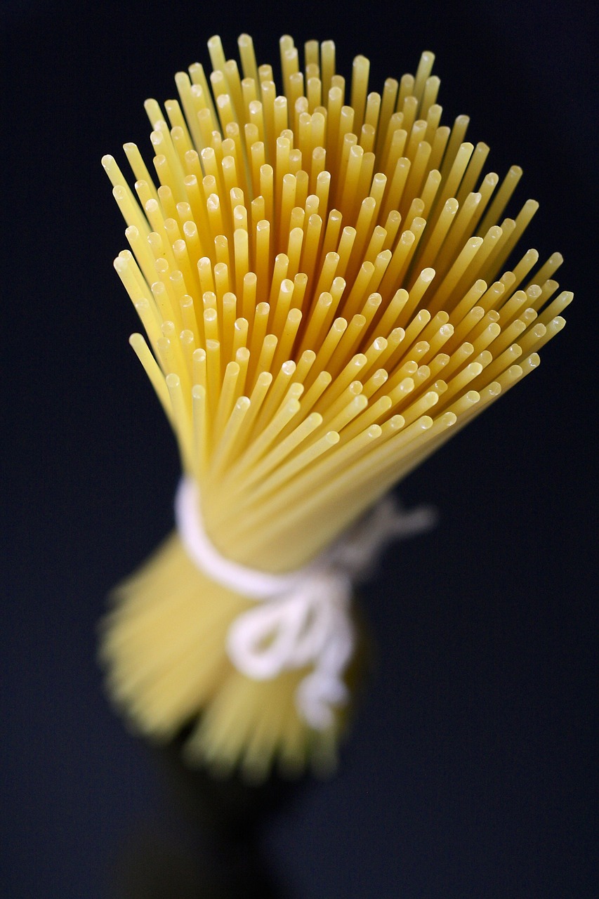 pasta raw food free photo