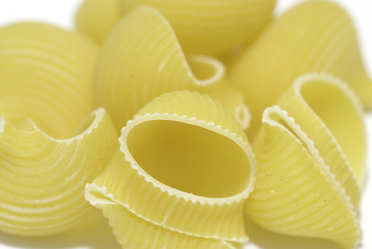 pasta food oil free photo