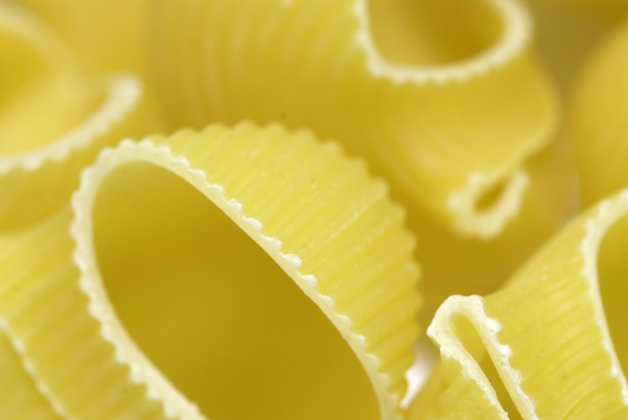 pasta food oil free photo