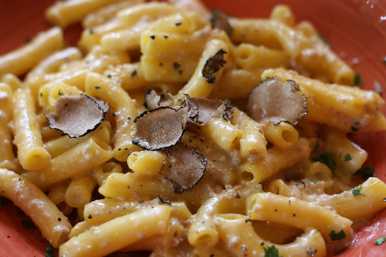 pasta  truffle  food free photo