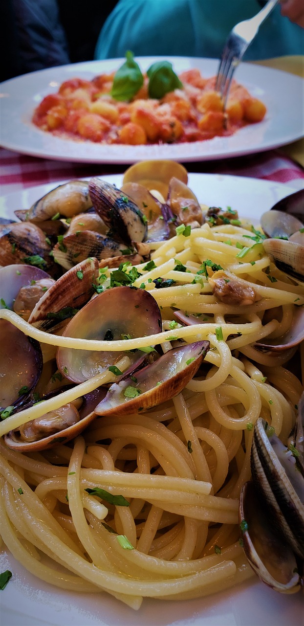 pasta  seafood  clams free photo