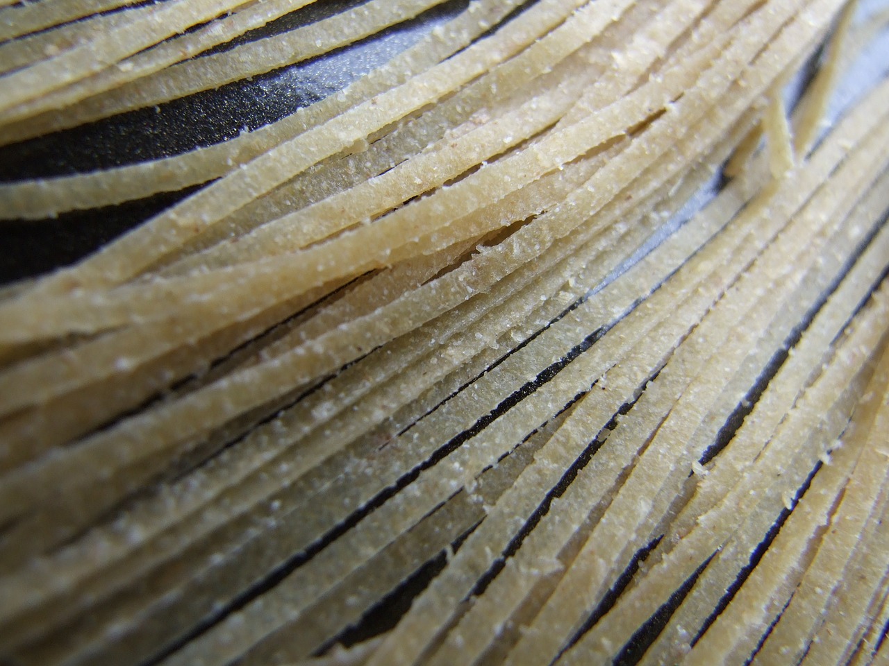 pasta strands cooking free photo