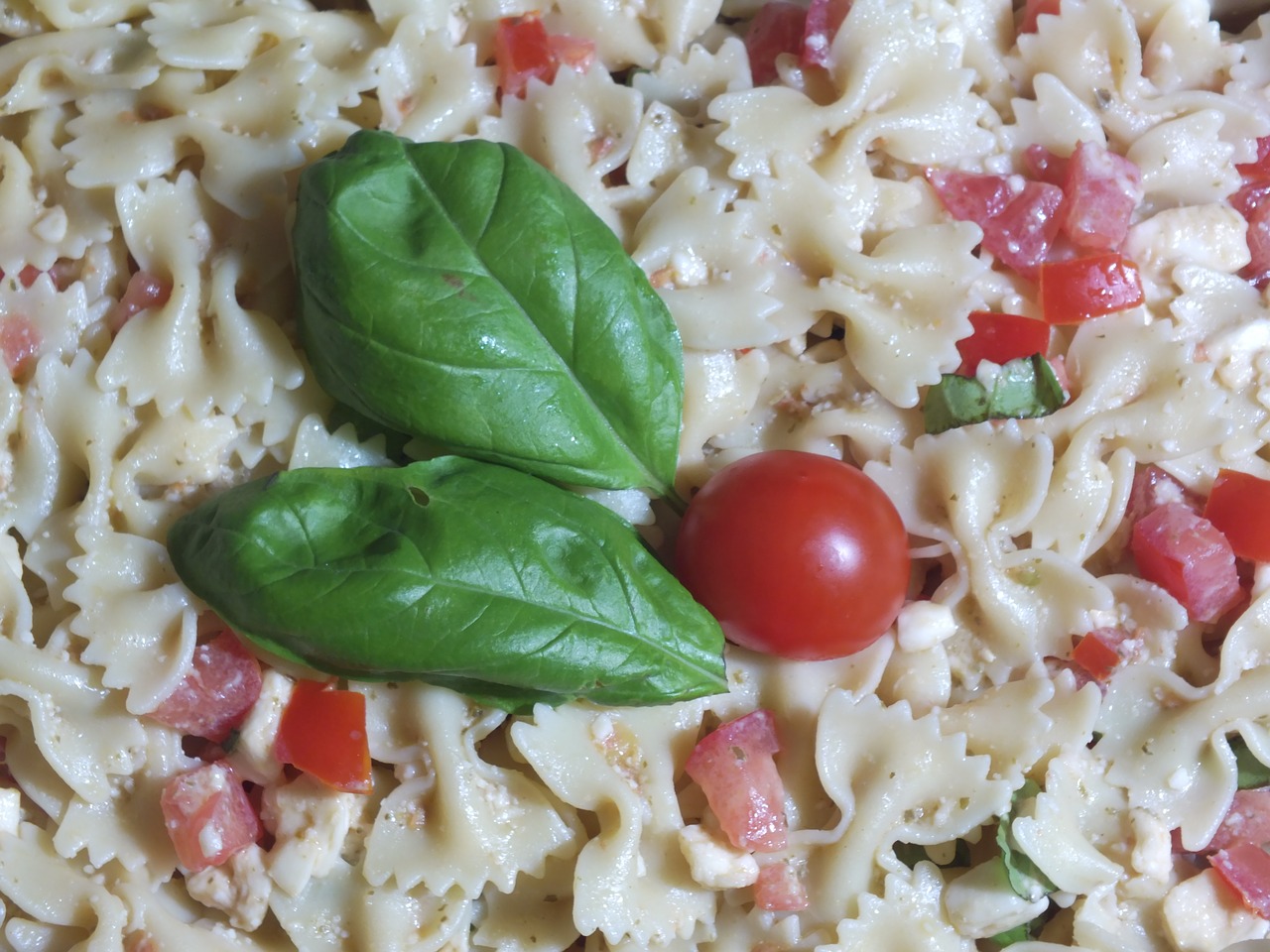 pasta italian food basil free photo