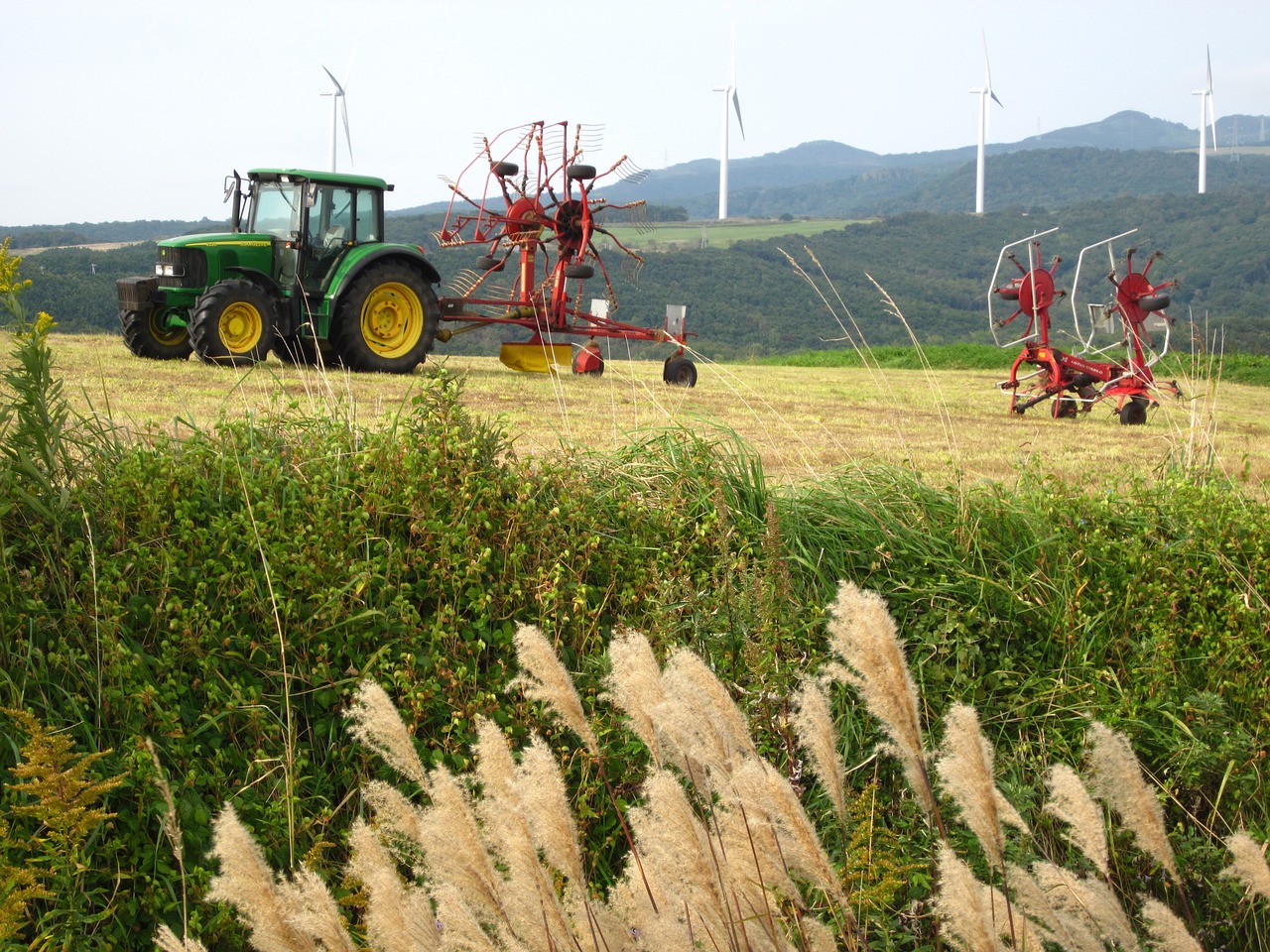 pasture tractor japanese pampas grass free photo