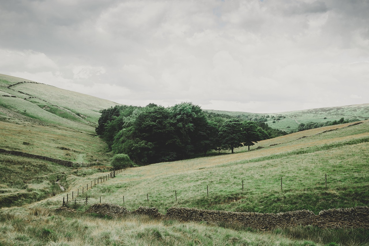 pasture field rural free photo