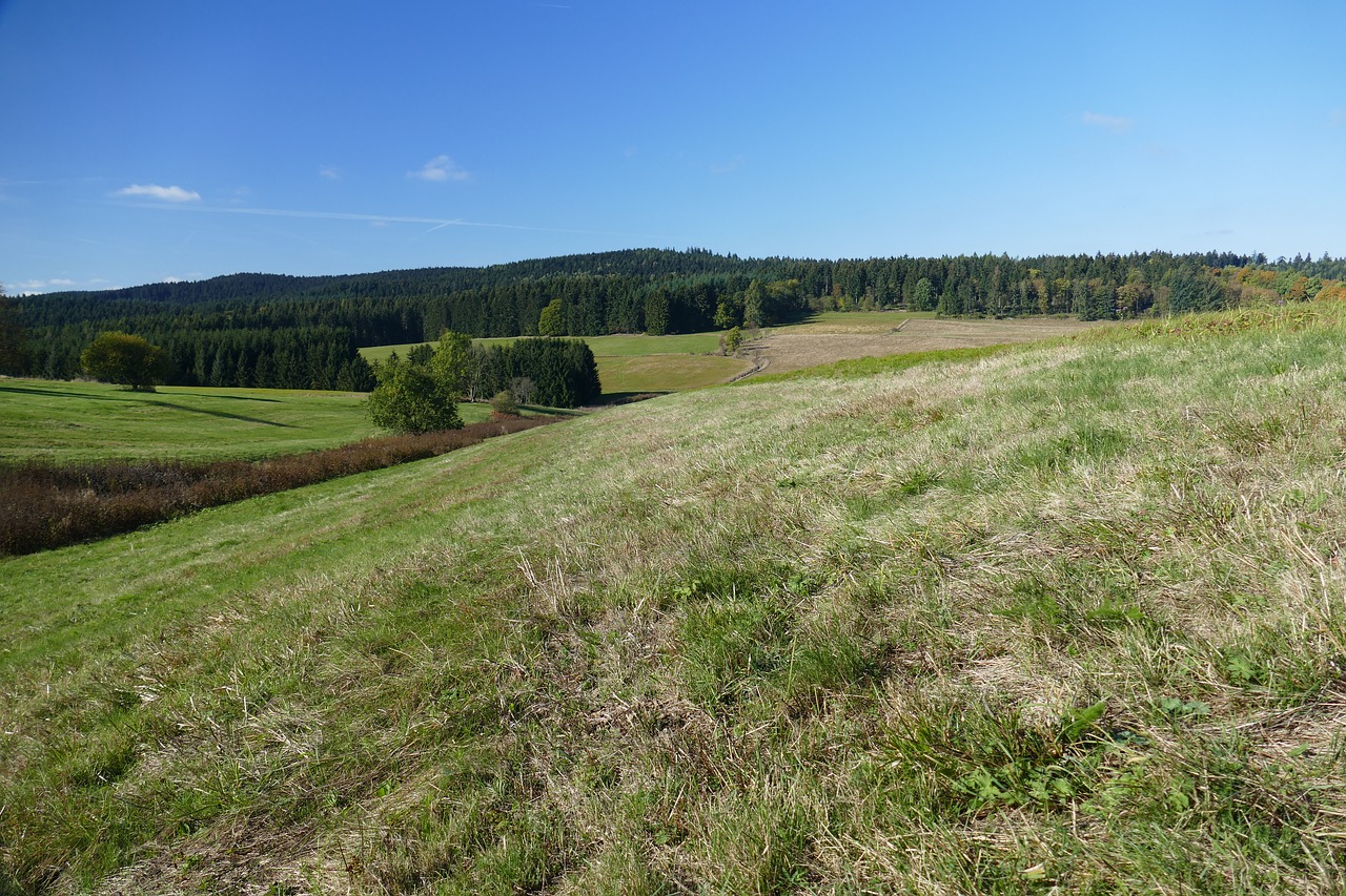 pasture landscape nature free photo