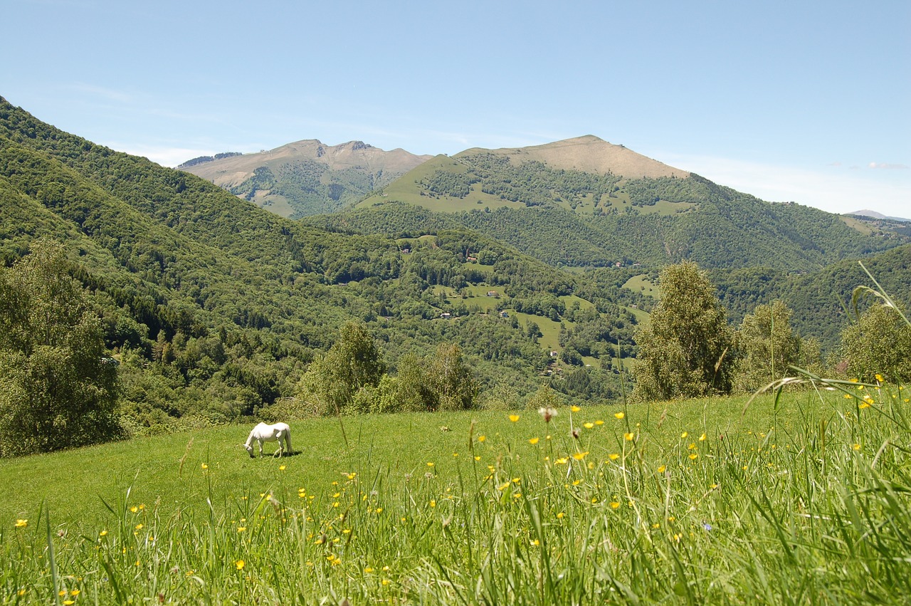 pasture mountain nature free photo