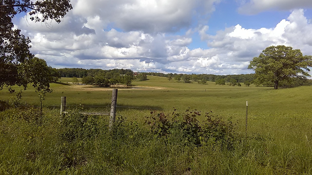 pasture field nature free photo