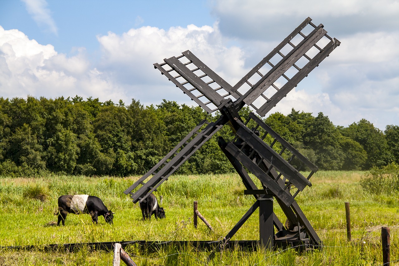 pasture windmill cows free photo