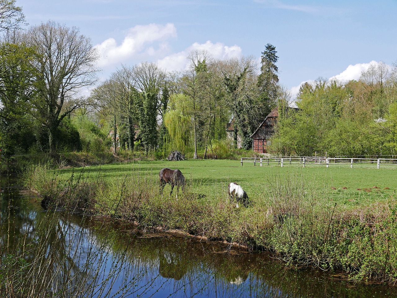 pasture  coupling  old farm free photo