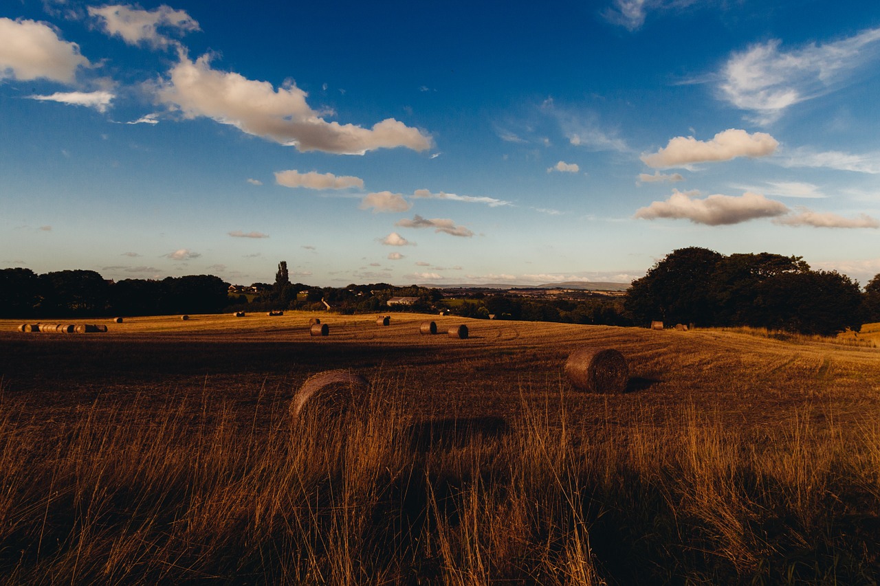 pasture hay bales countryside free photo