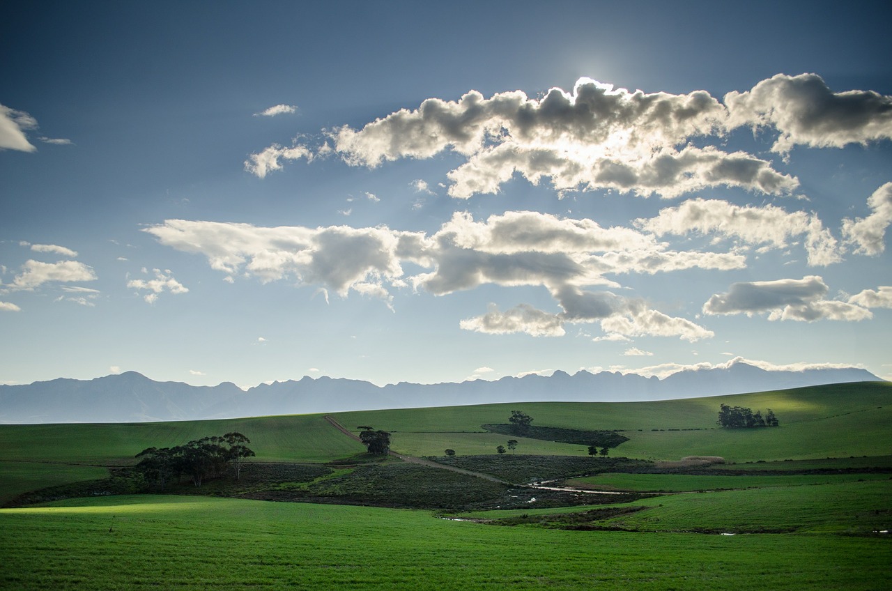 pasture meadows sky free photo