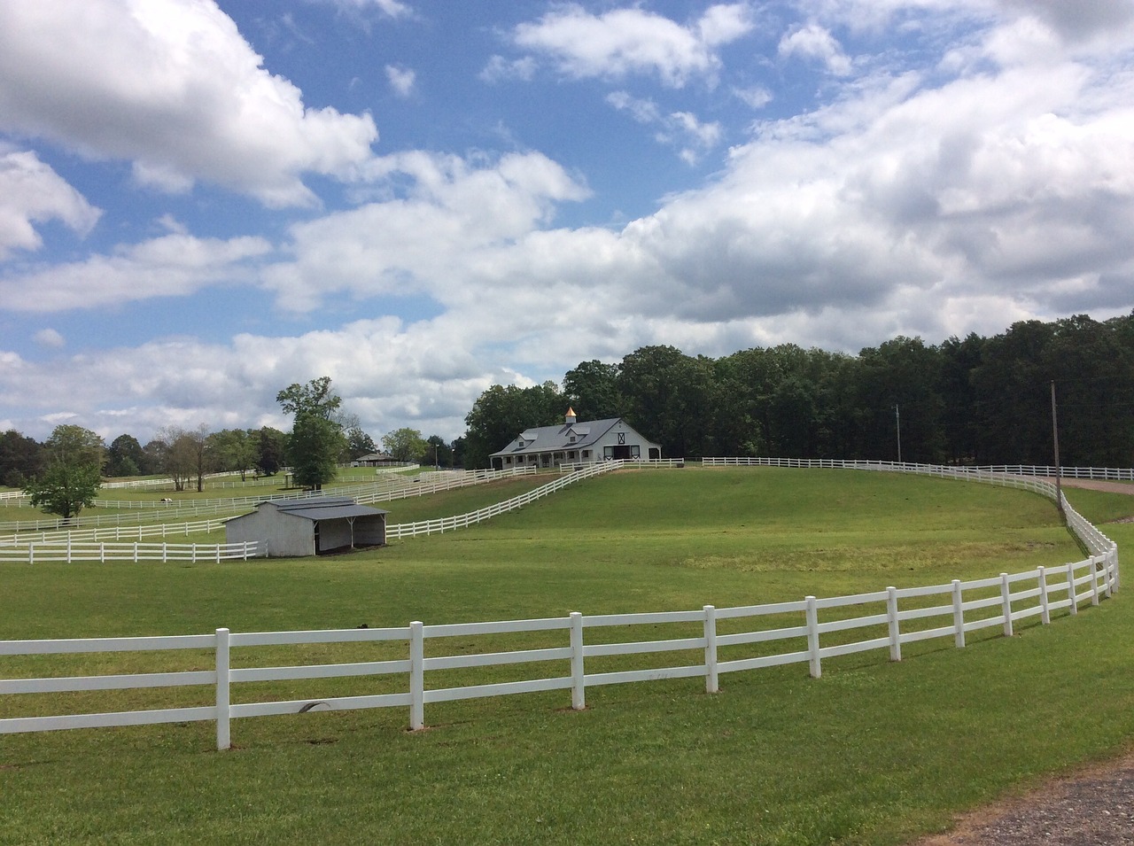 pasture horses farm free photo