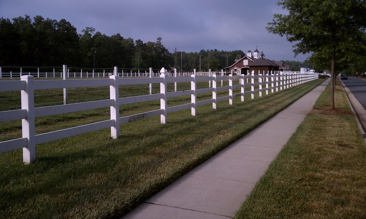 pasture horse farm free photo