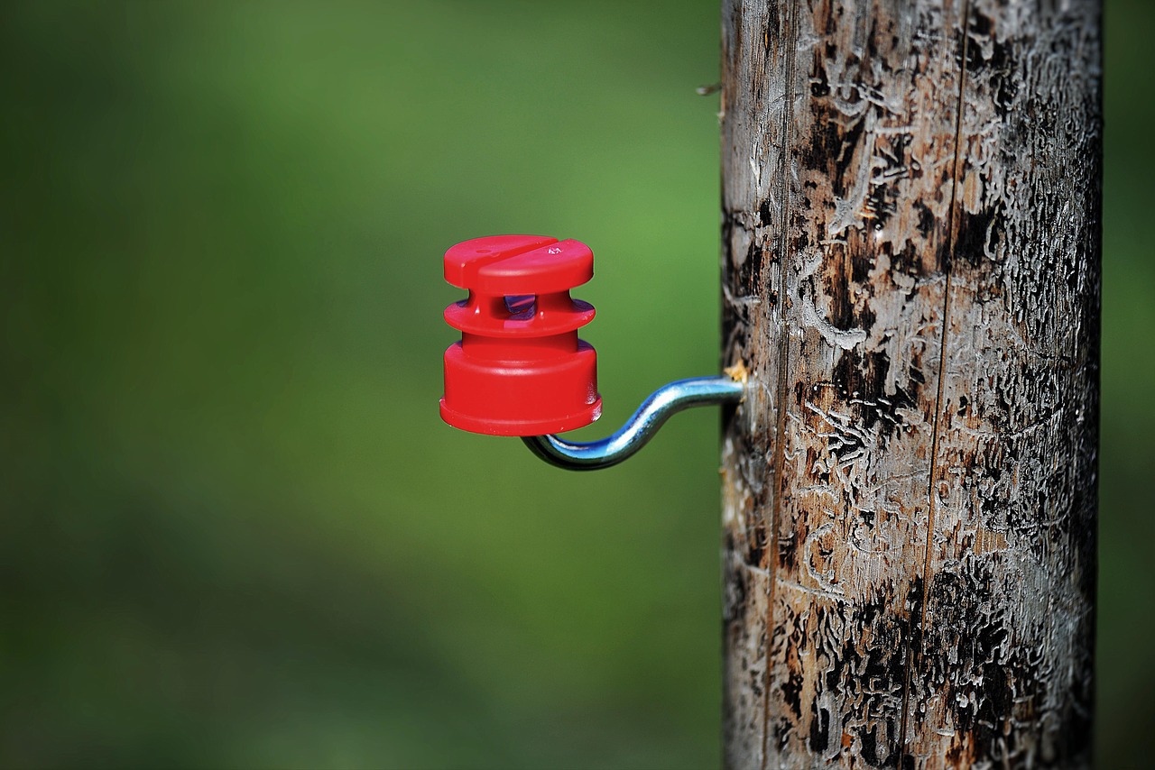 pasture fence post insulator free photo