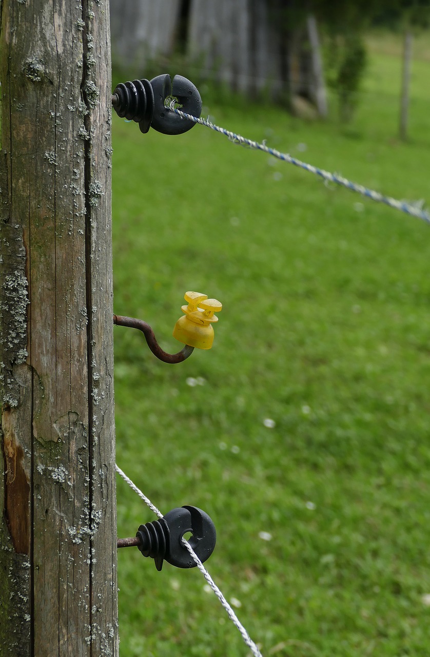 pasture fence insulating pole wire free photo