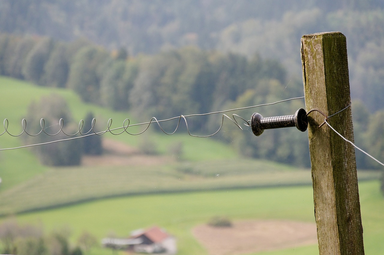 pasture fence electric fence switzerland free photo