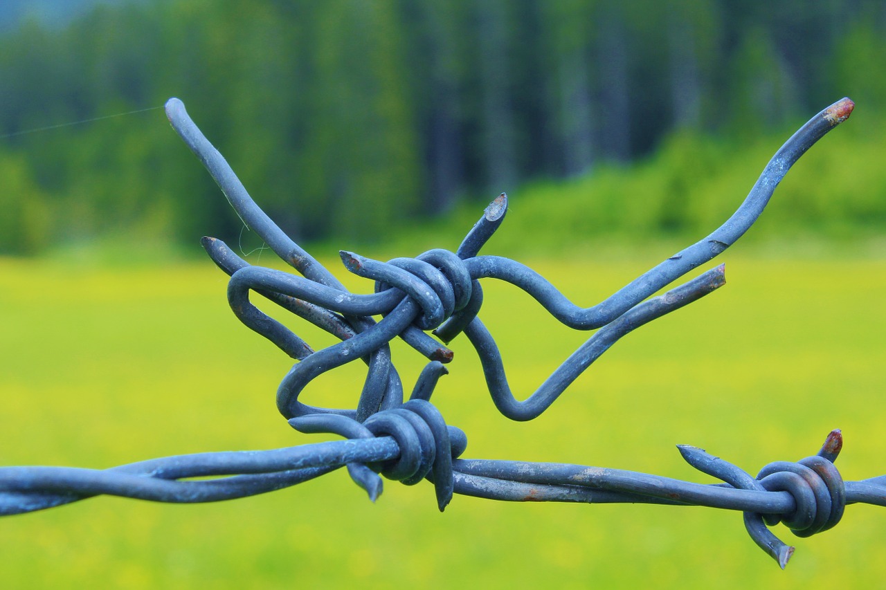 pasture fence barbed wire barrier free photo