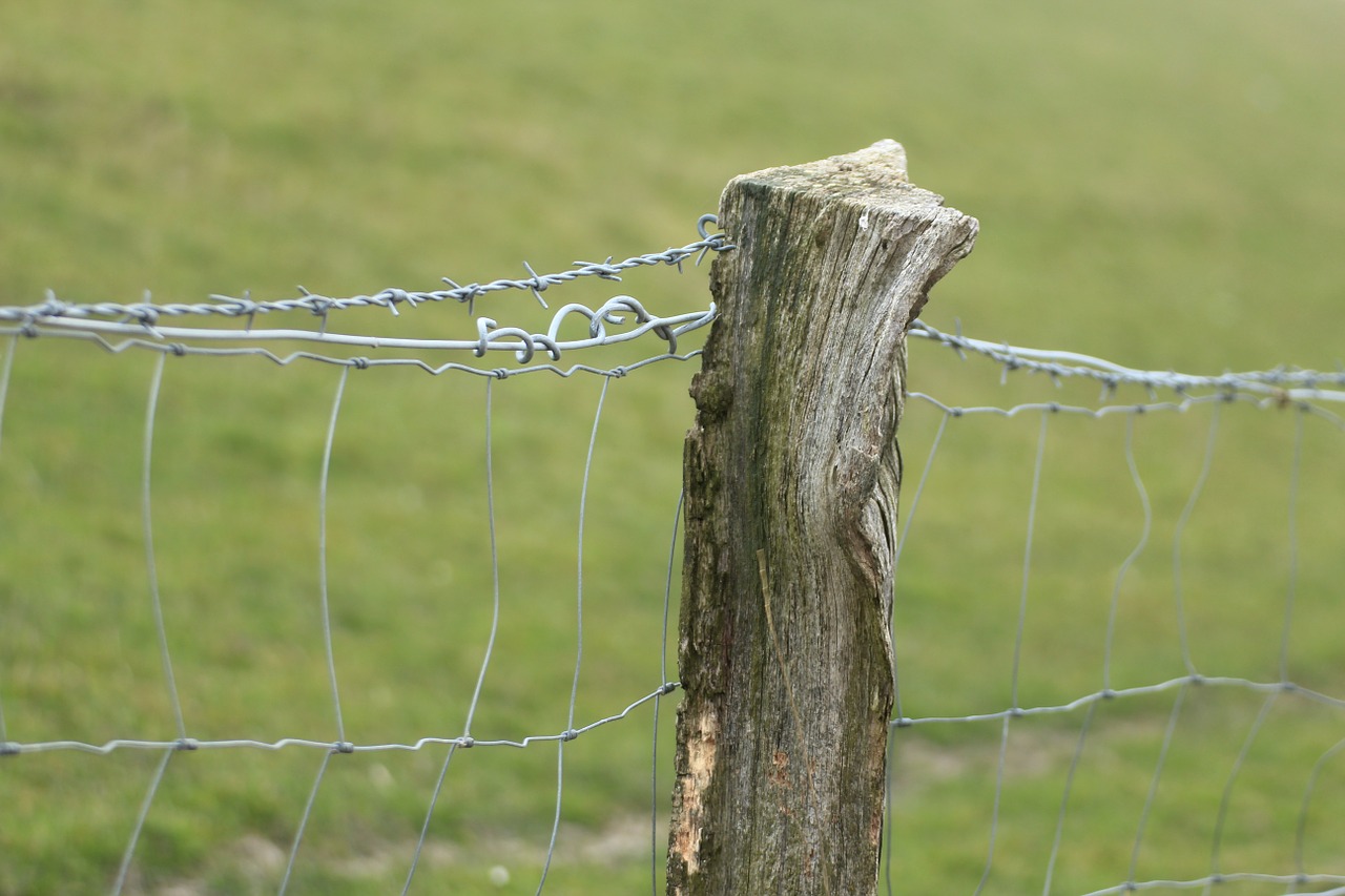 pasture fence fence post fence free photo