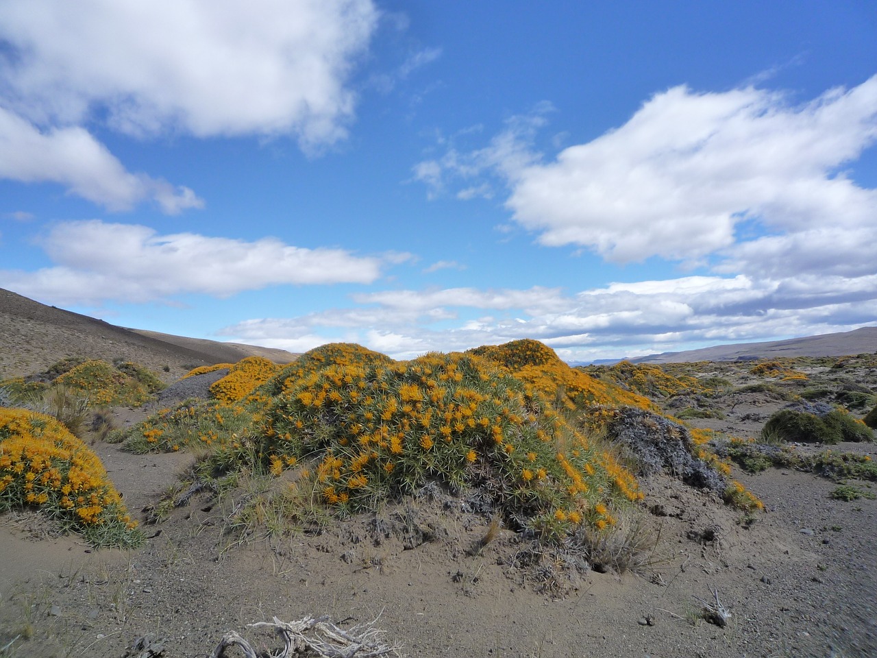 patagonia landscape spectacular free photo