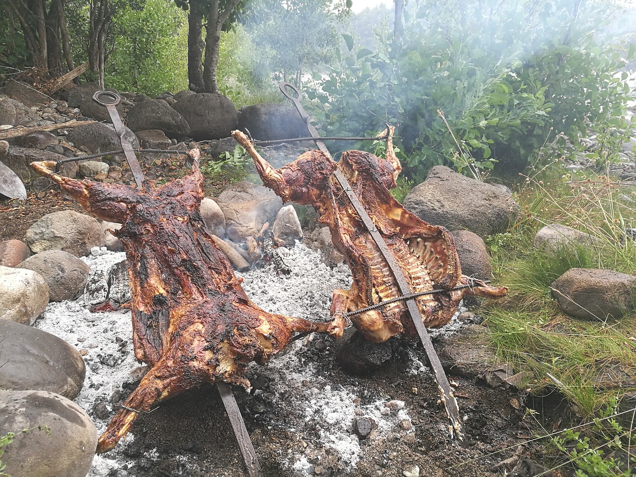 patagonia roasted lamb free photo