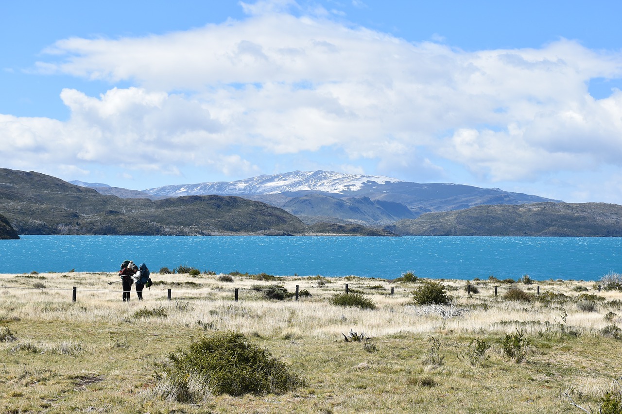 patagonia  torres del paine  national park free photo