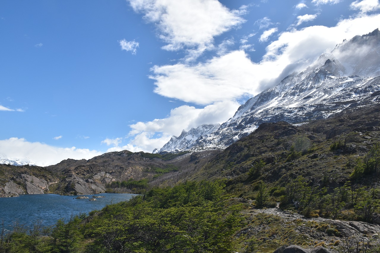 patagonia  torres del paine  national park free photo