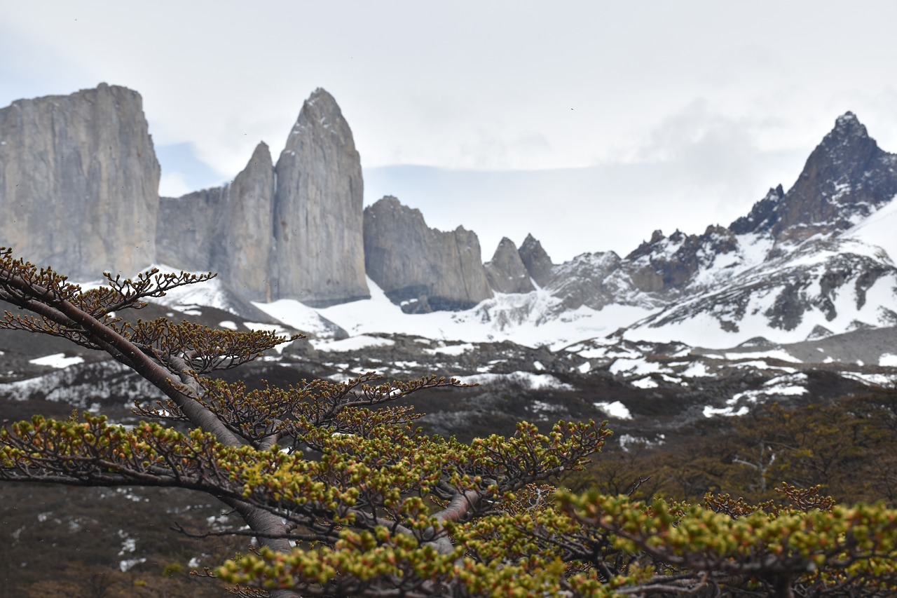 patagonia  torres del paine  national park free photo