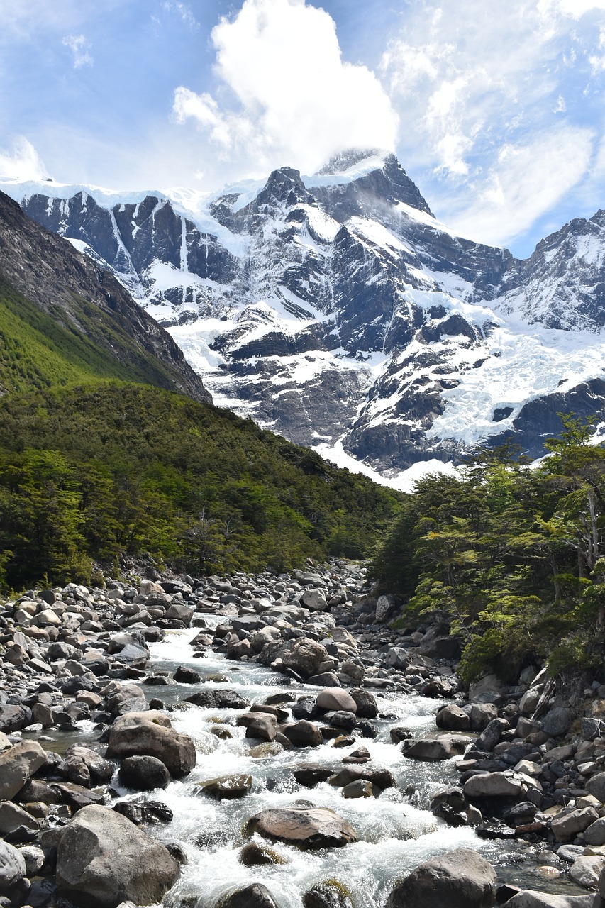 patagonia  torres del paine  national park free photo