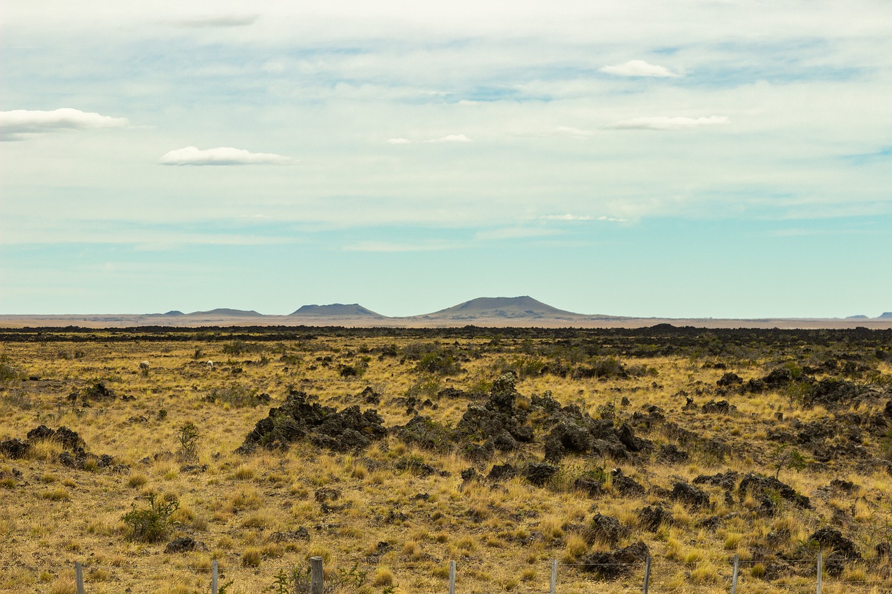 patagonia  argentina  landscape free photo