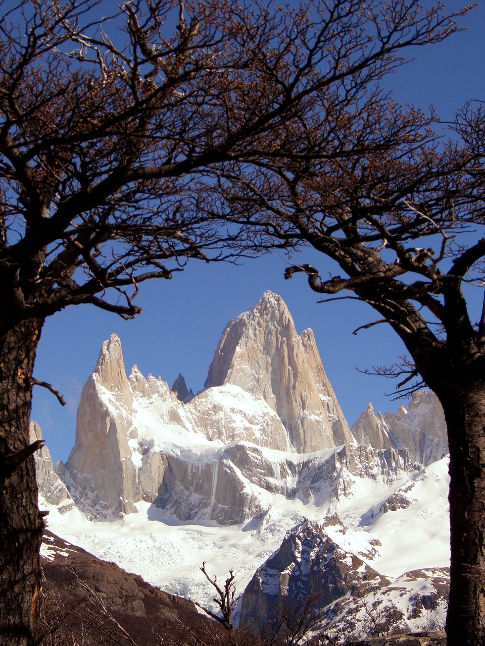 patagonia argentina fitz roy free photo