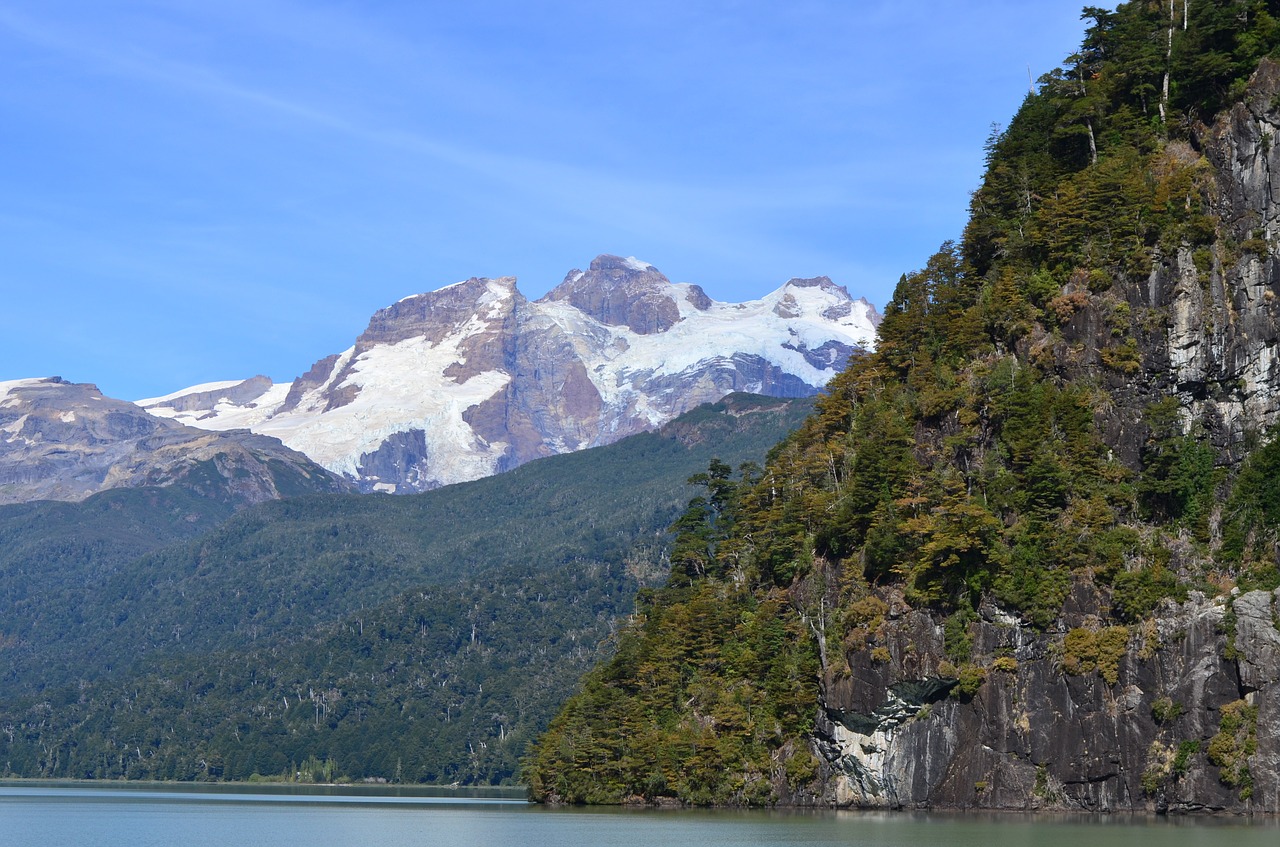 patagonia autumn green free photo