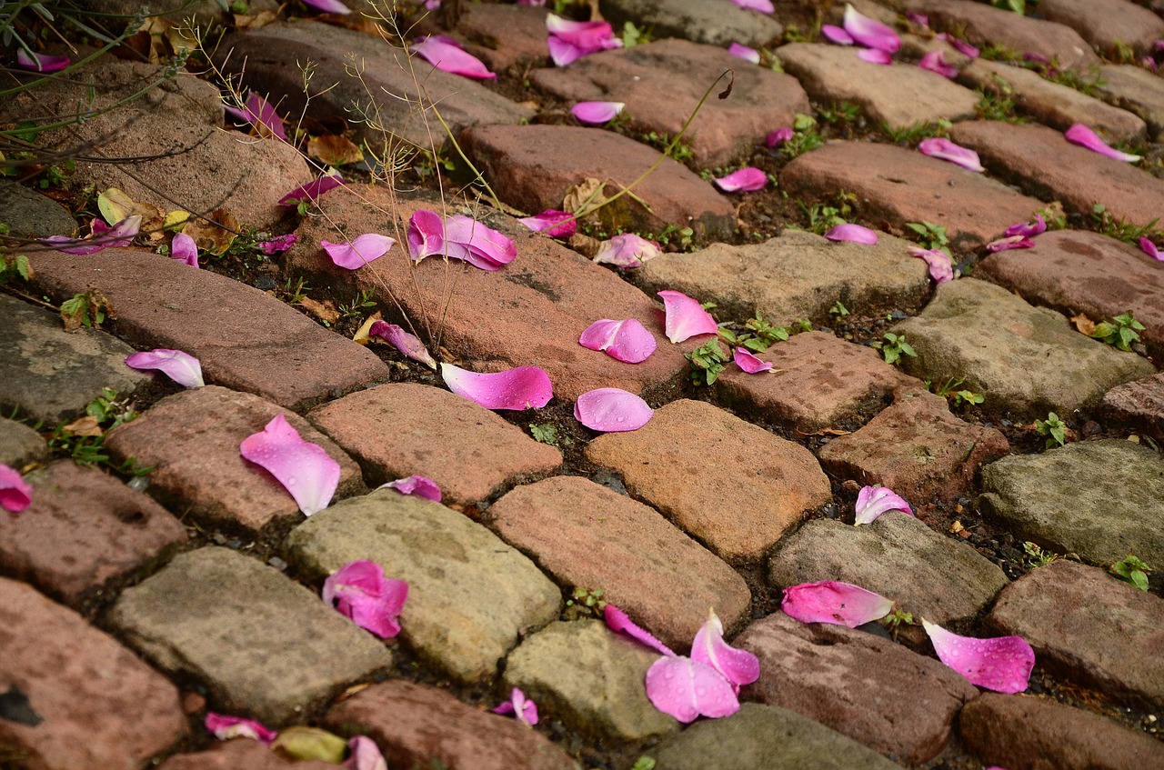 patch paving stones road free photo