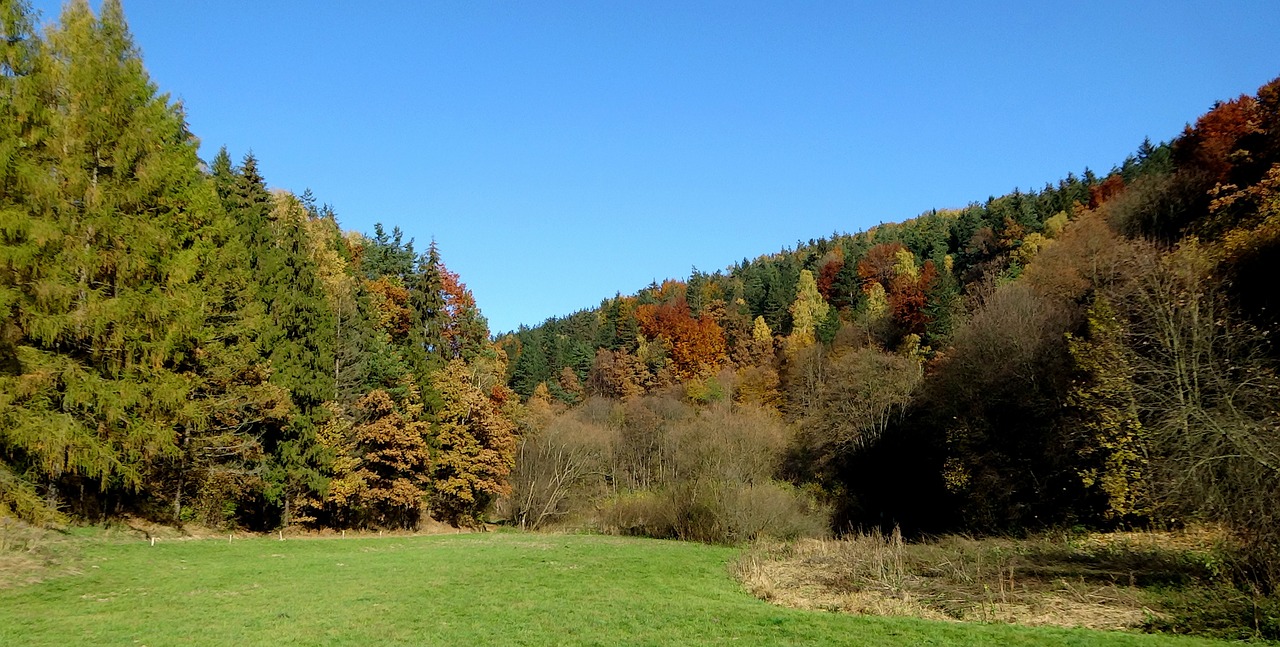 paternity national park landscape poland free photo