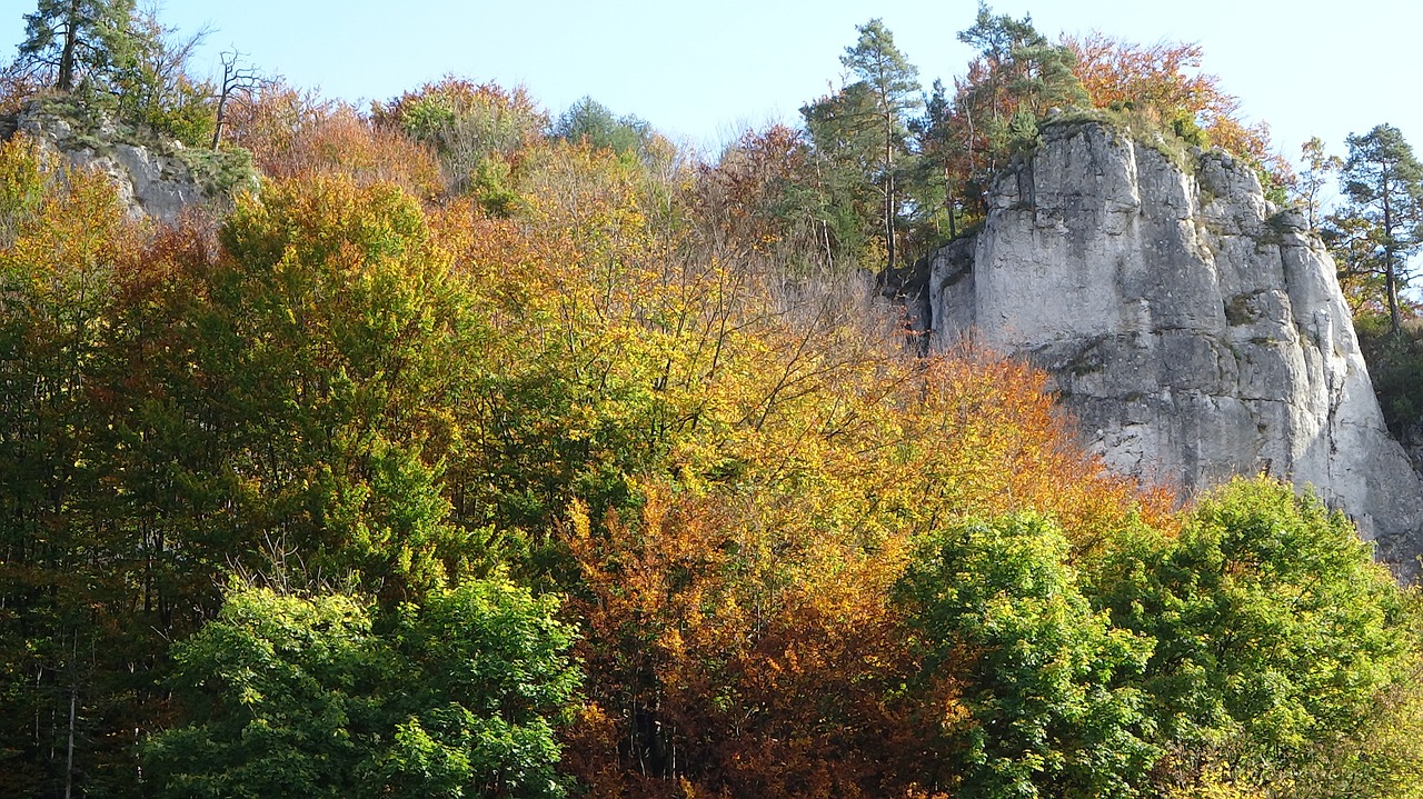 paternity national park poland rocks free photo