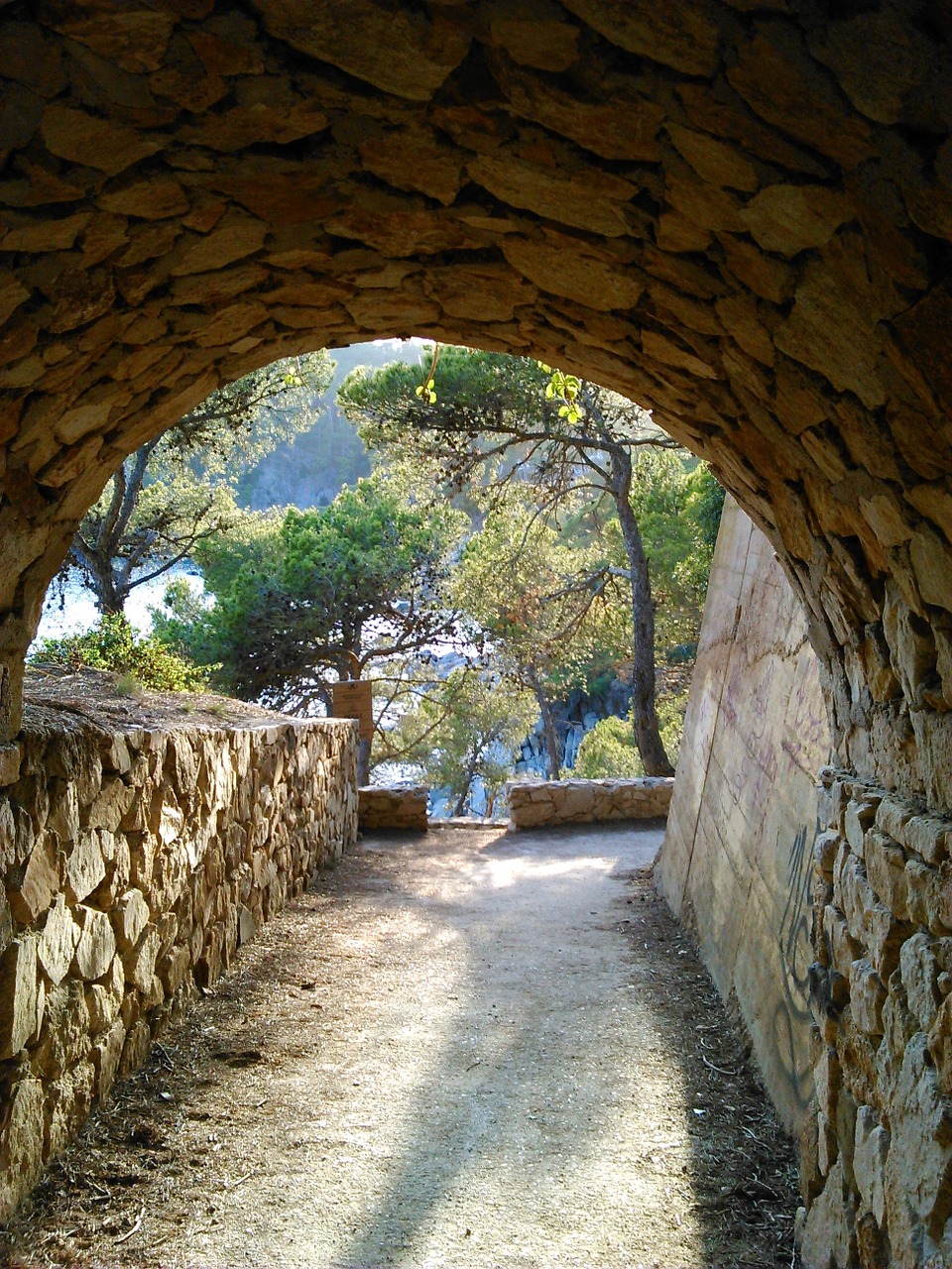 path tunnel trees free photo